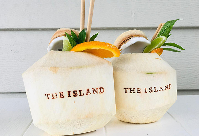 Island Coconut3 